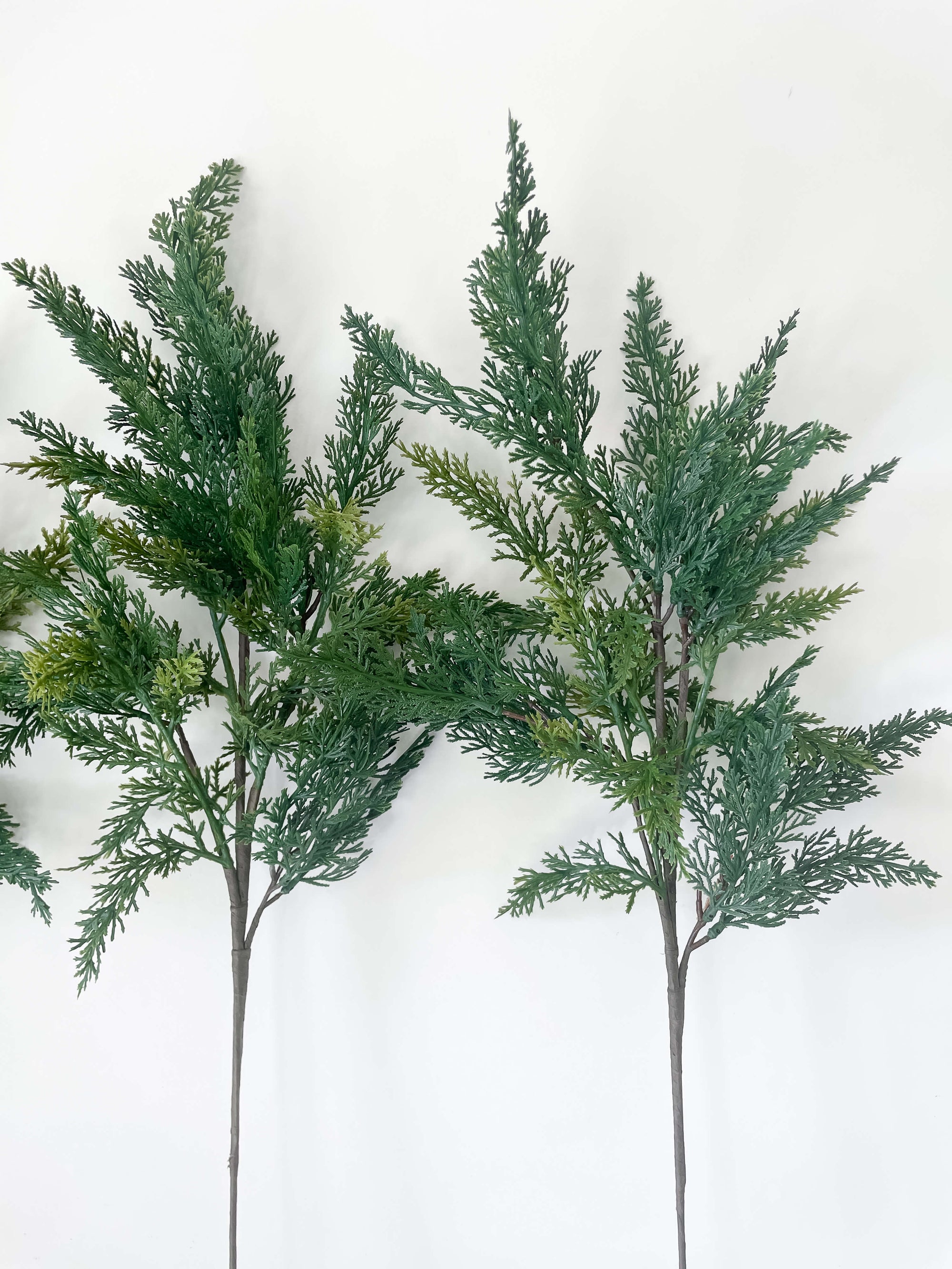 Cypress Stem 28"