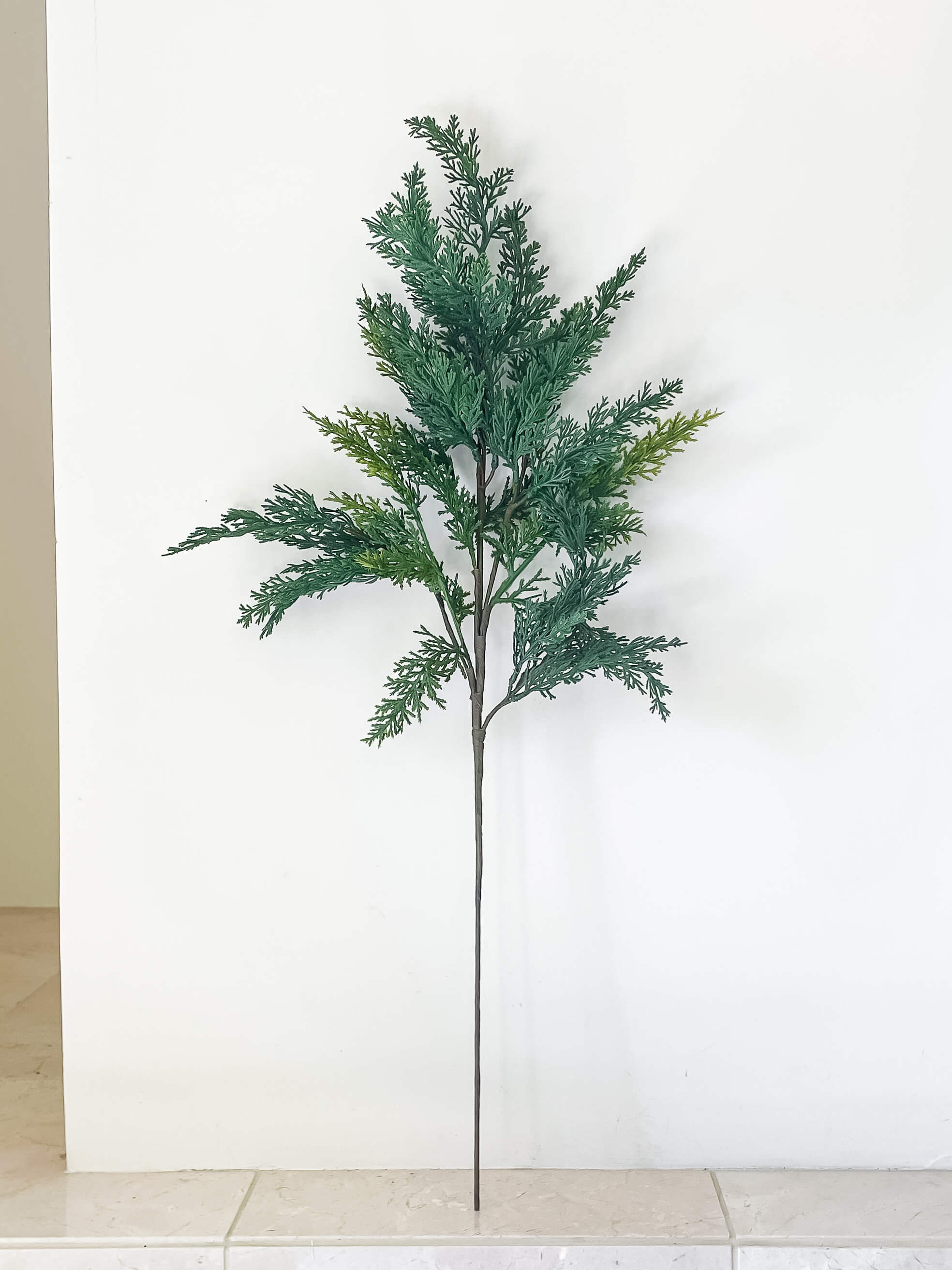 Cypress Stem 28"