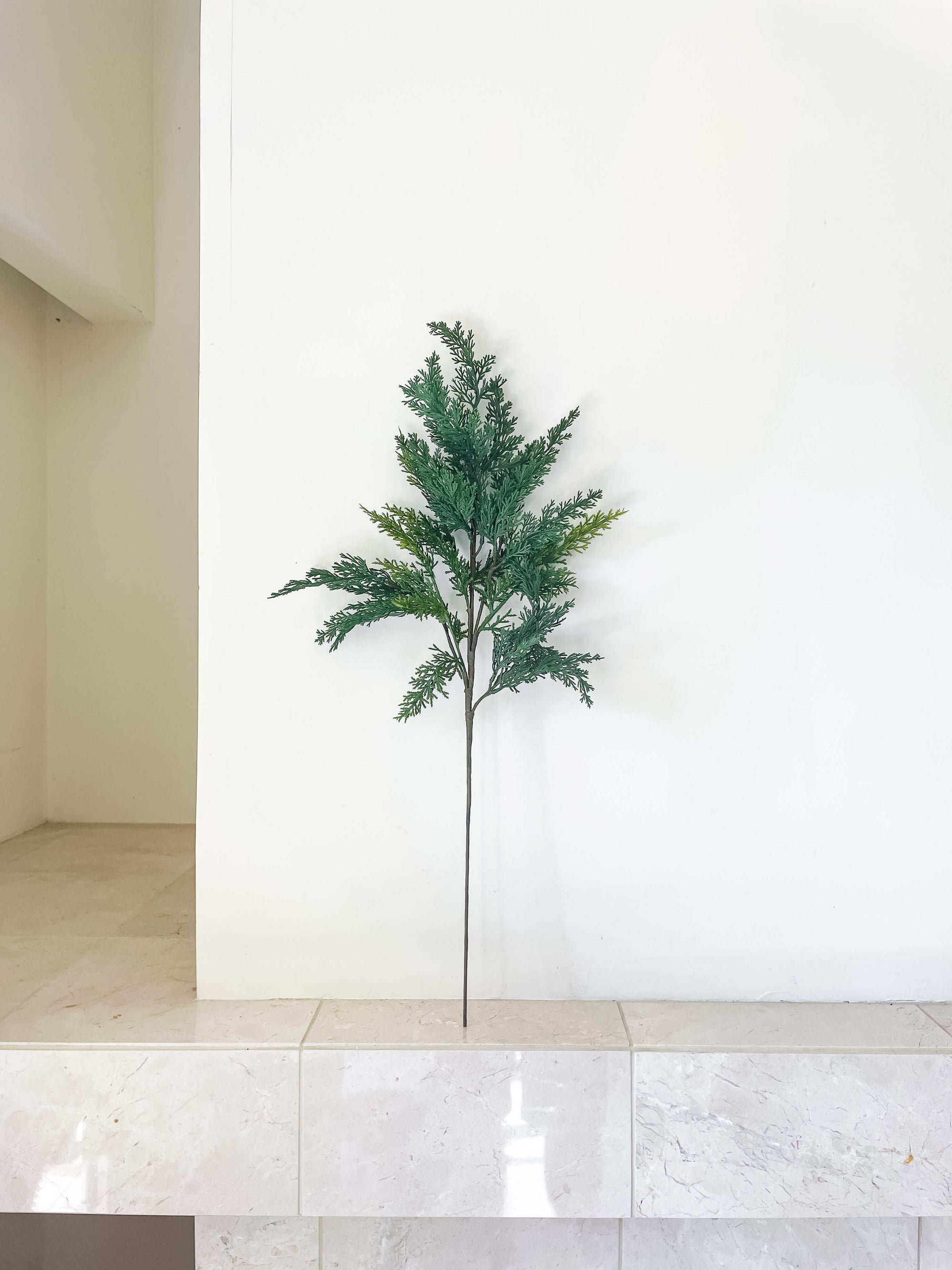 Cypress Stem 28"