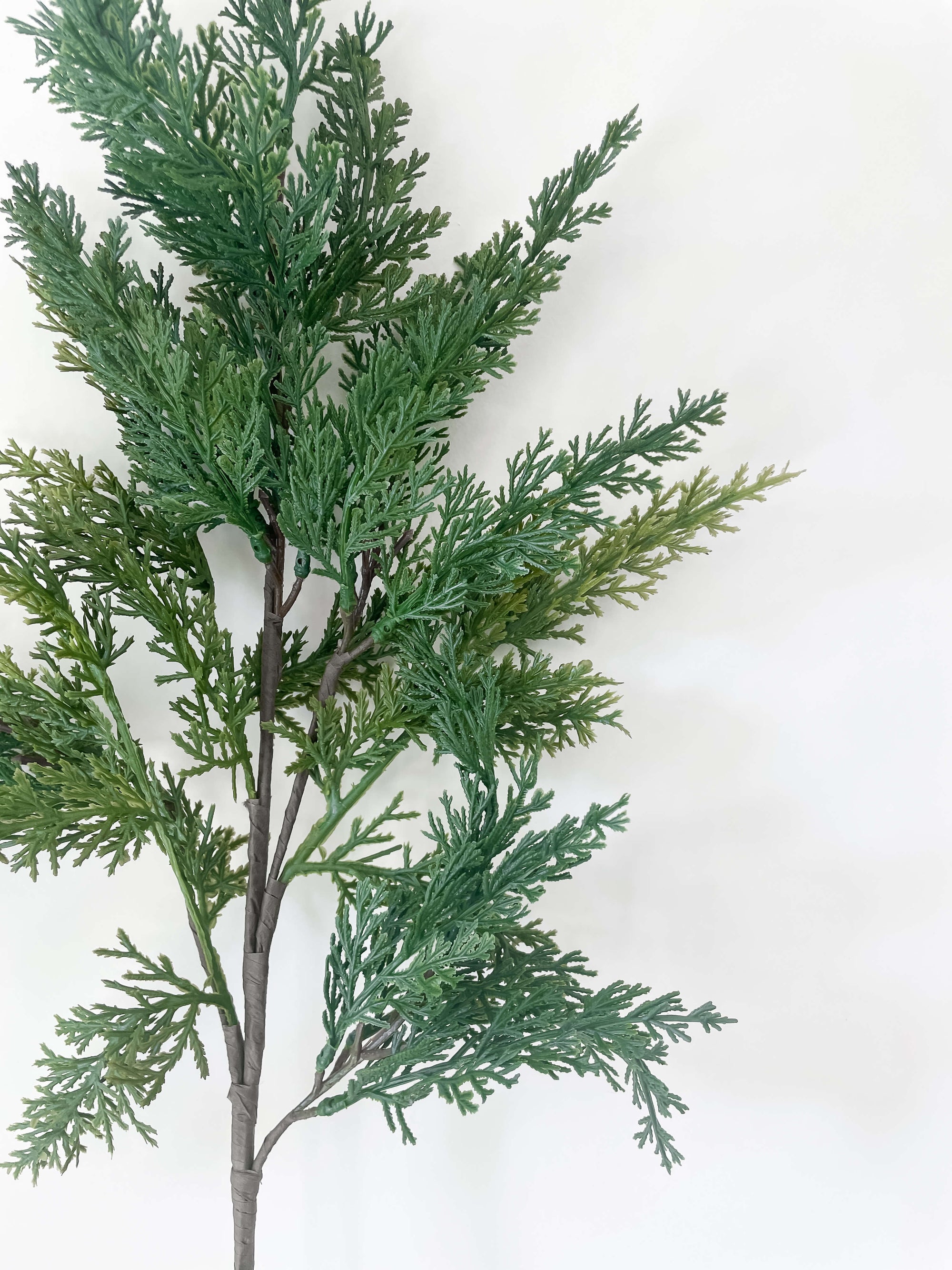 Cypress Stem 28"
