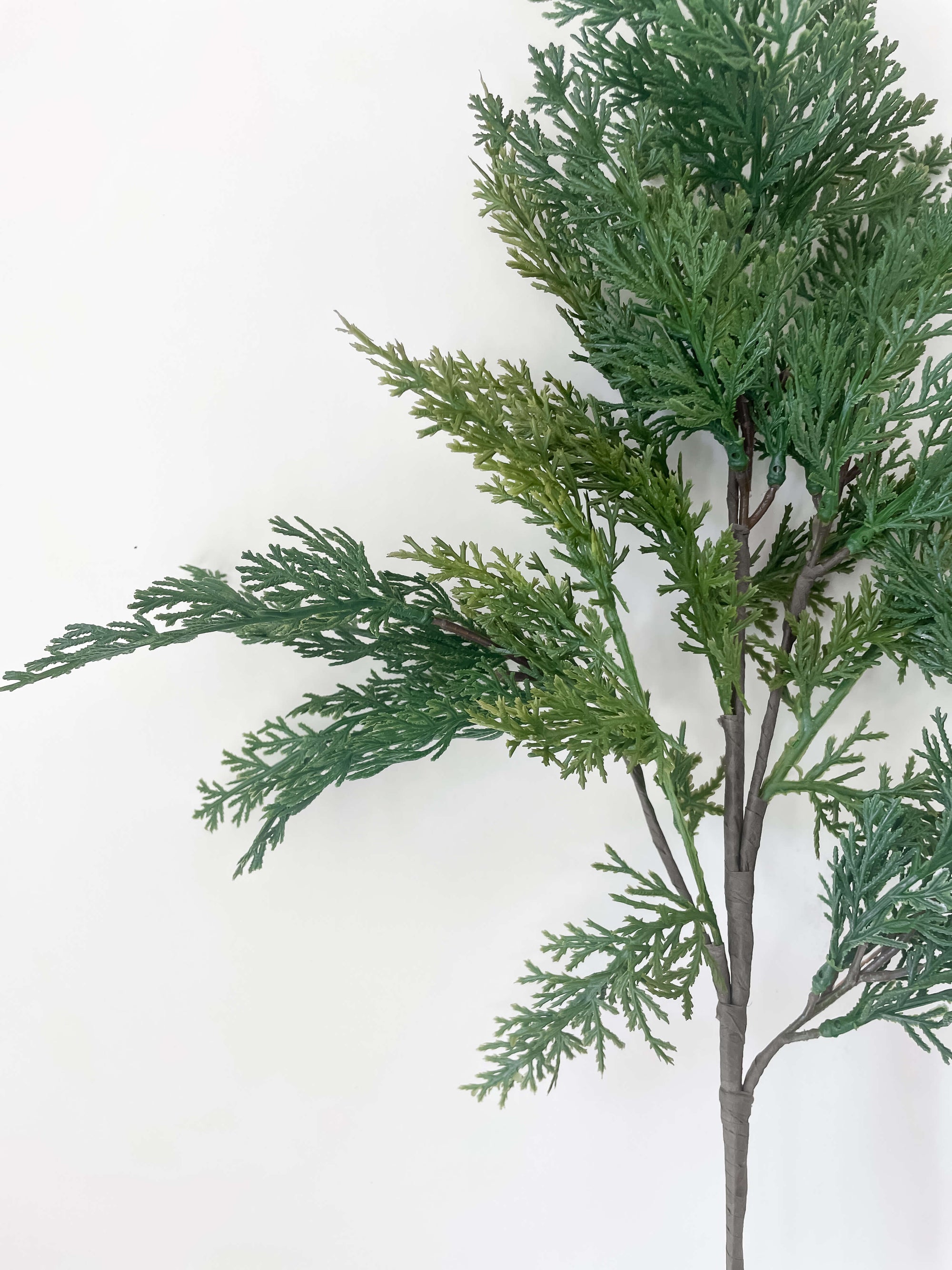 Cypress Stem 28"