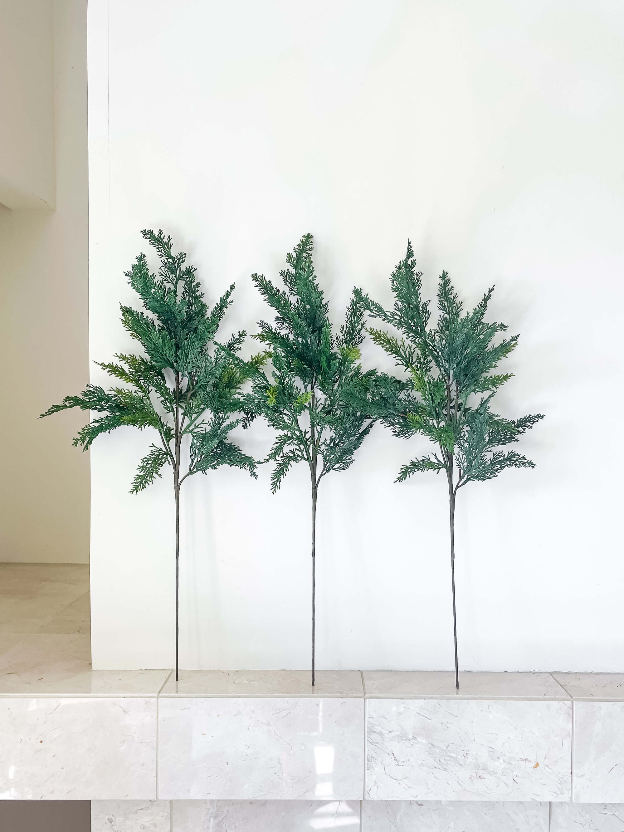 Cypress Stem 28"