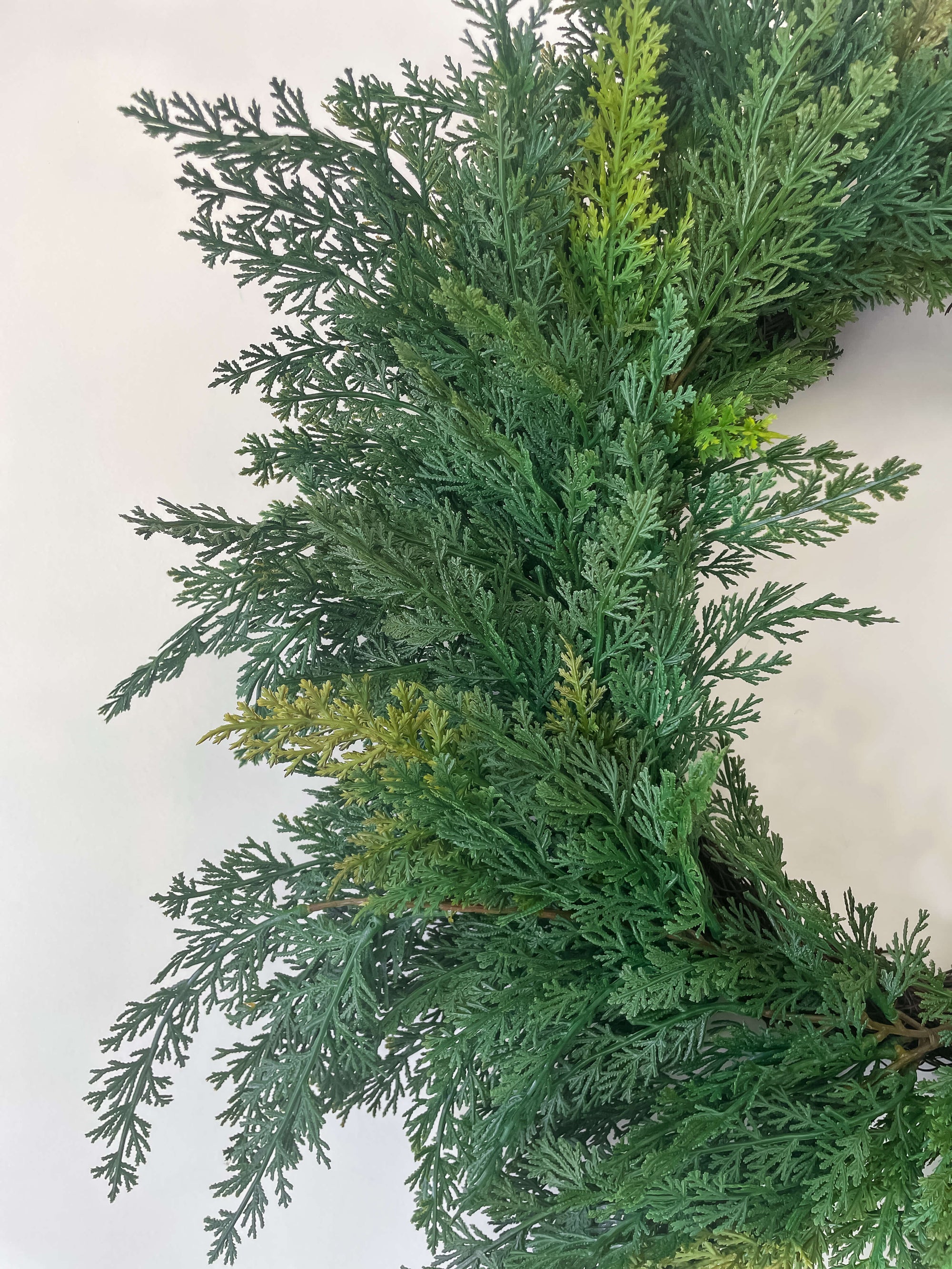 Cypress Wreath 24"