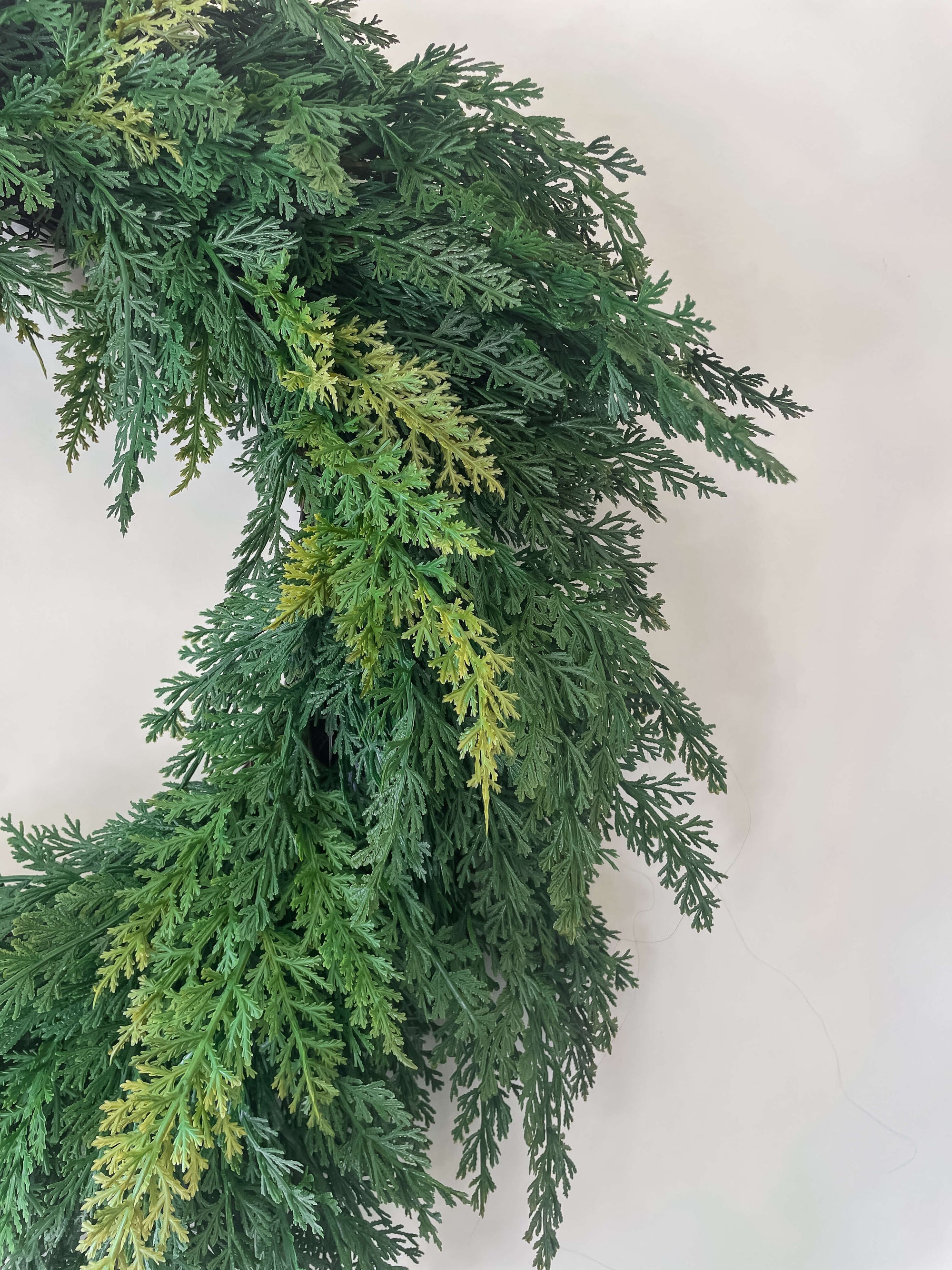 Cypress Wreath 24"
