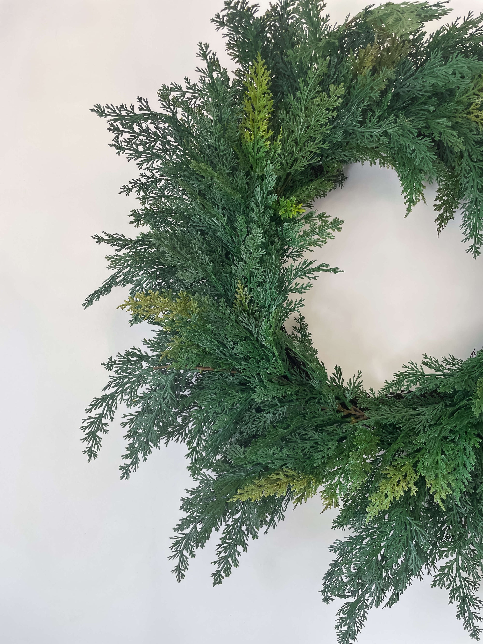 Cypress Wreath 24"