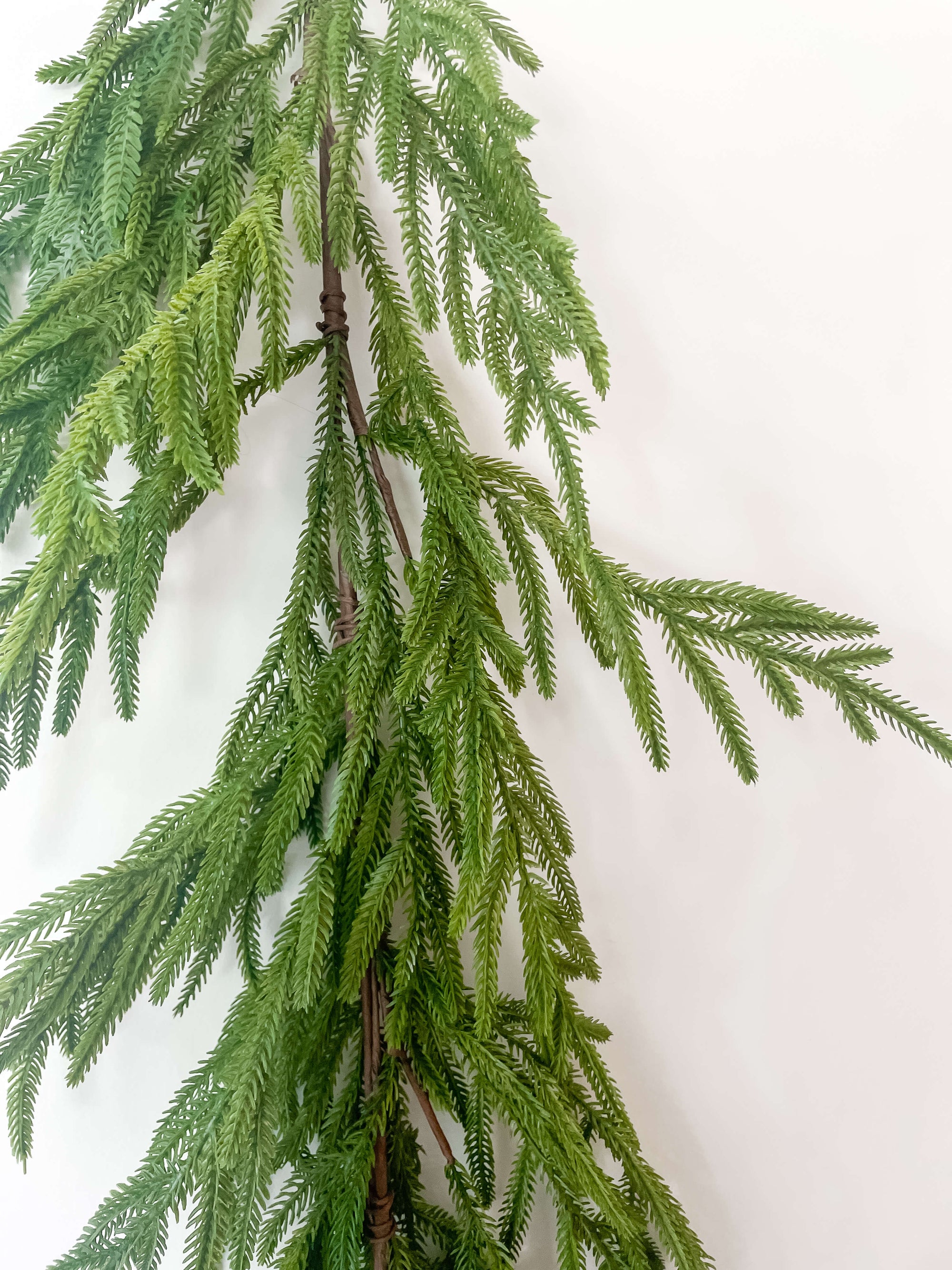 Norfolk Garland 60"