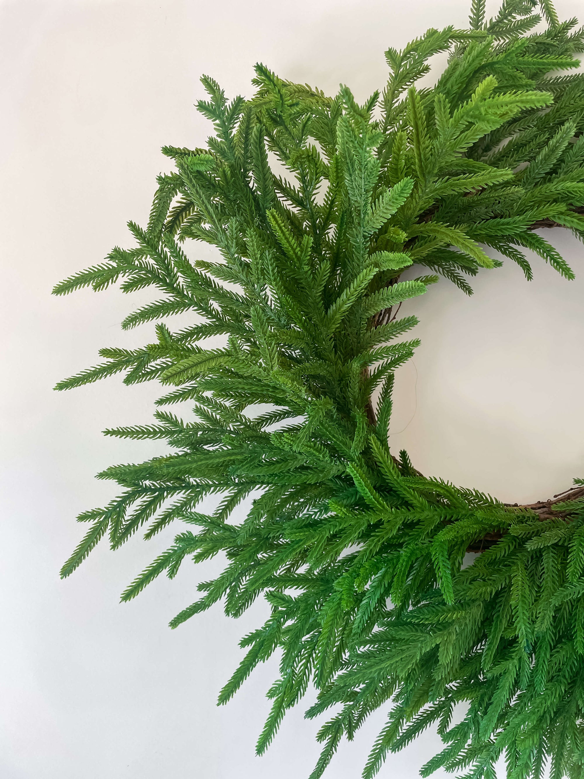 Norfolk Wreath 26"