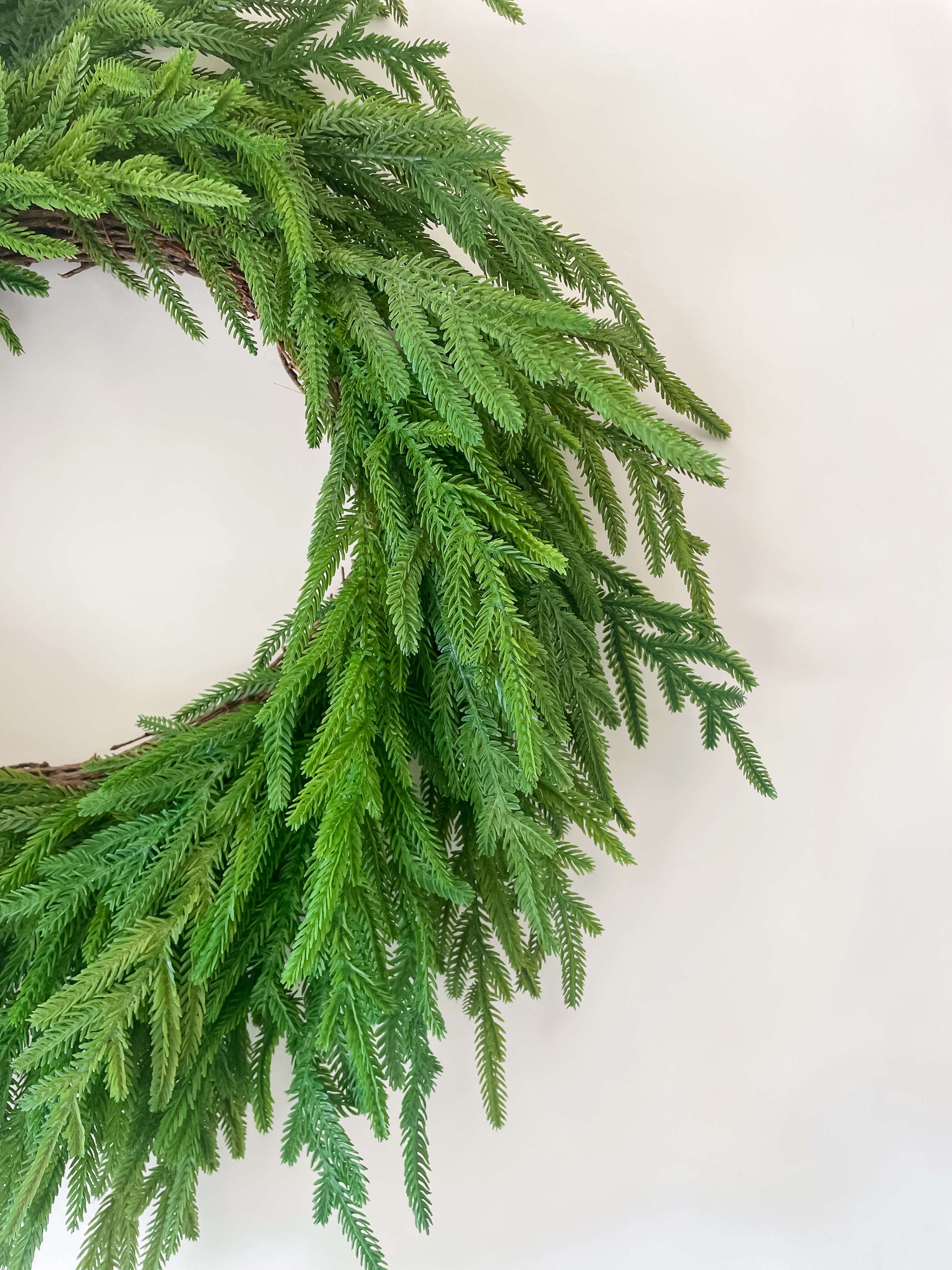Norfolk Wreath 26"