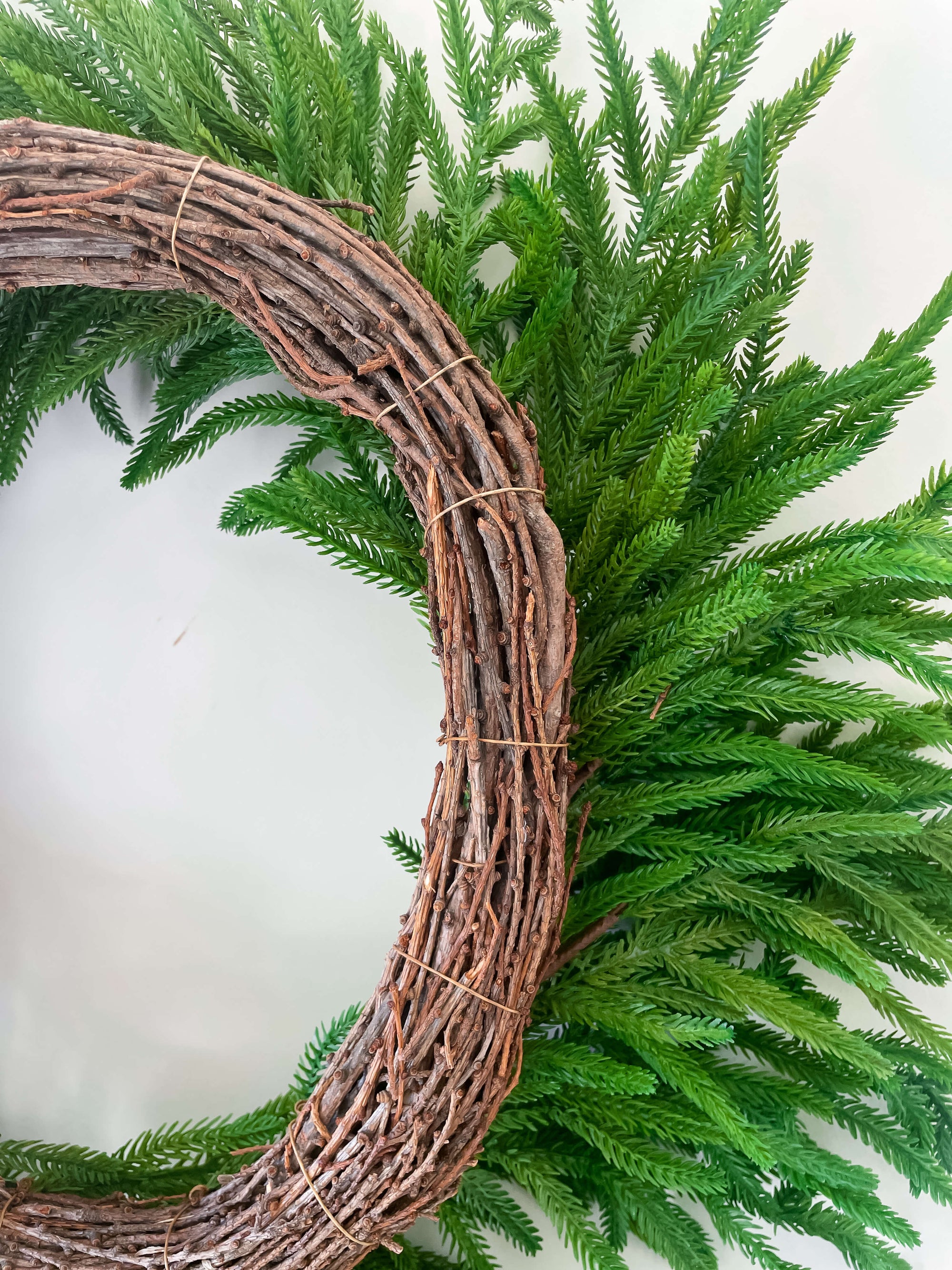 Norfolk Wreath 26"