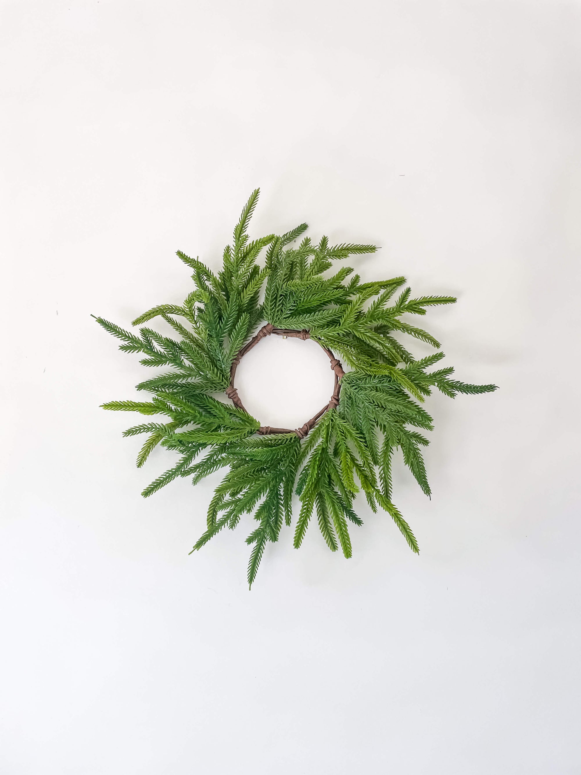 Norfolk Wreath 12"