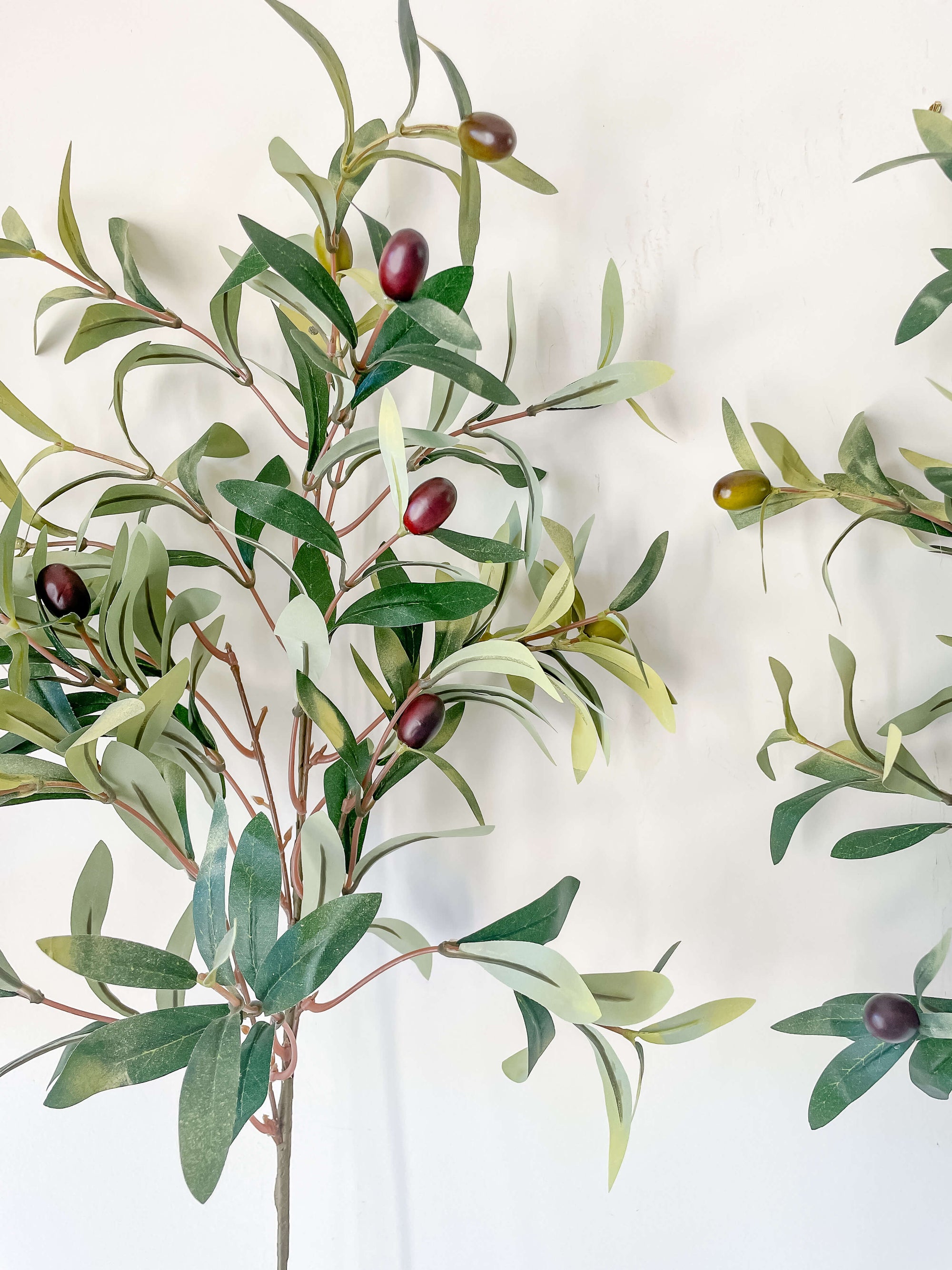 Olive Branch Stem 31"