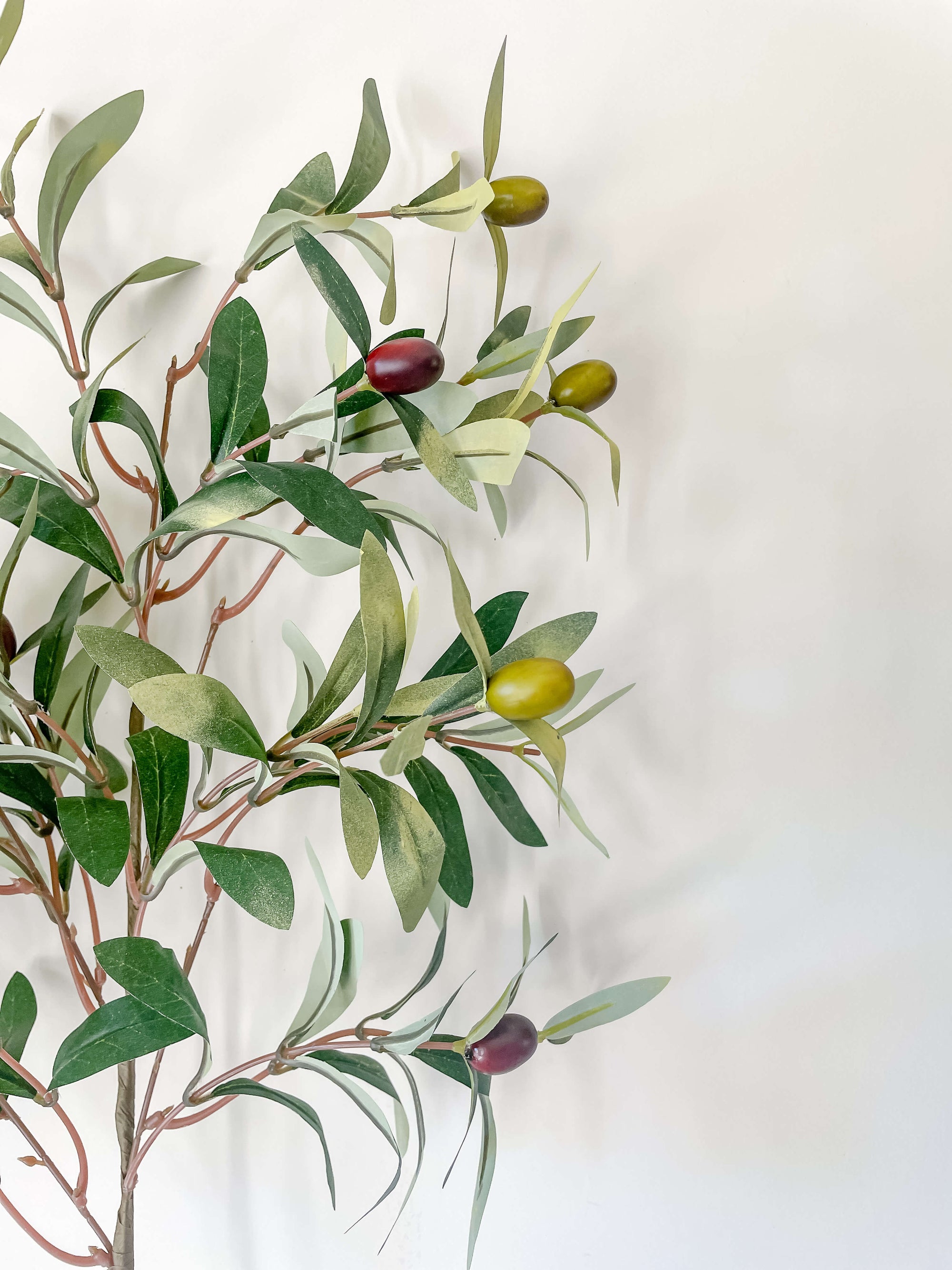Olive Branch Stem 31"
