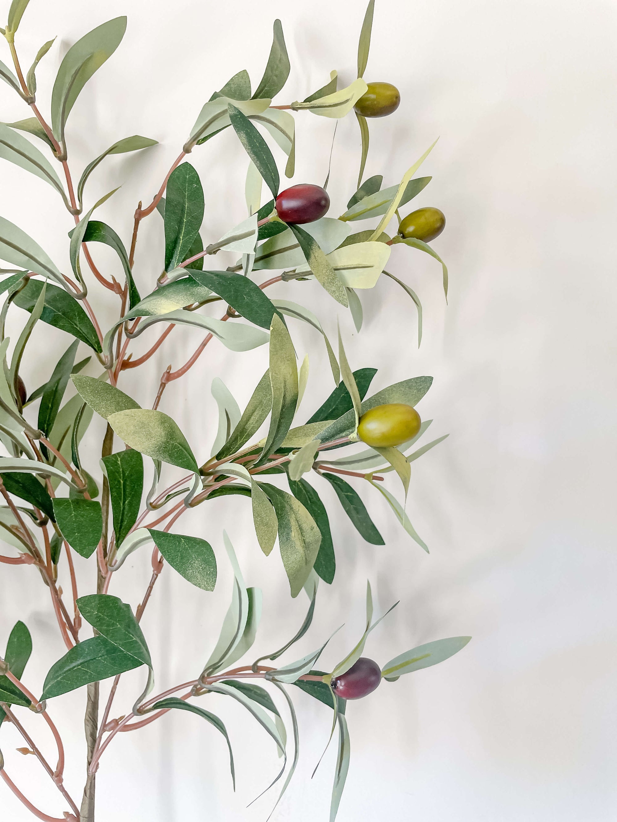 Olive Branch Stem 31"