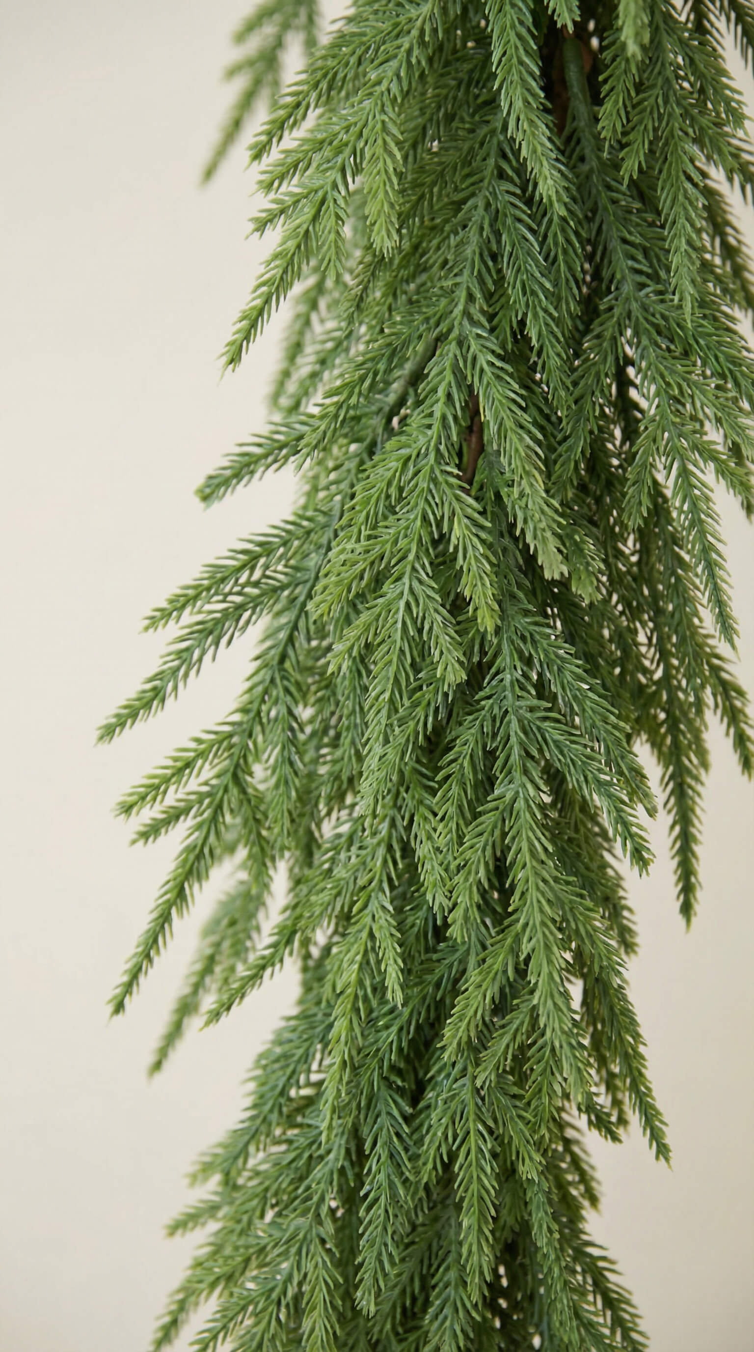 Norfolk Garland 60"