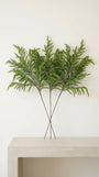 Norfolk Stem 25" & 33" - Bundle of 3