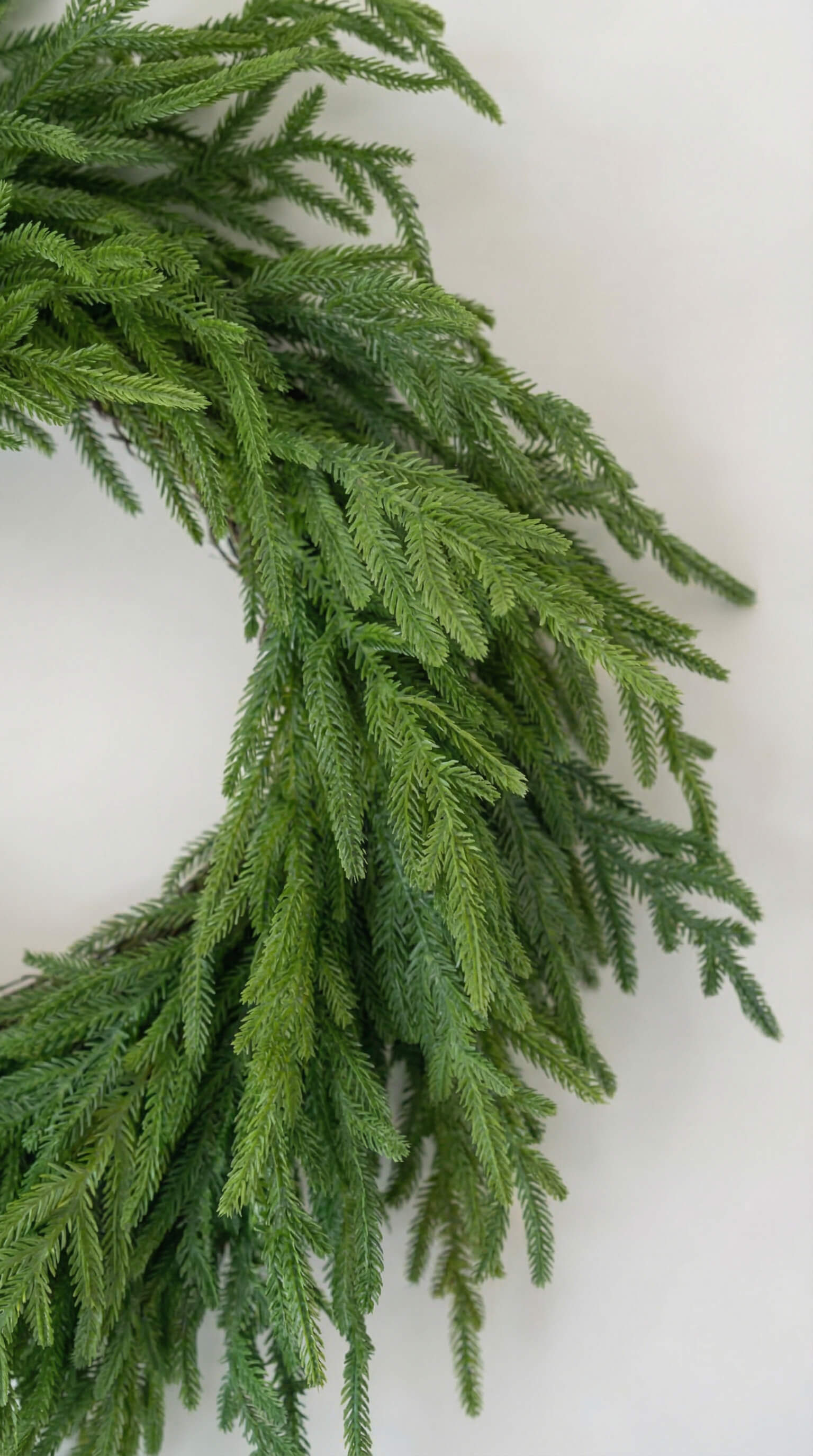 Norfolk Wreath 26"