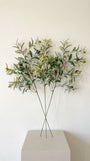 Olive Branch Stem 31" - Bundle of 3
