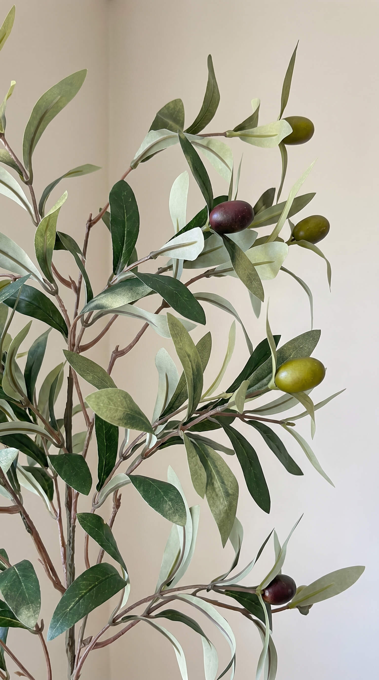 Olive Branch Stem 31" - Bundle of 3