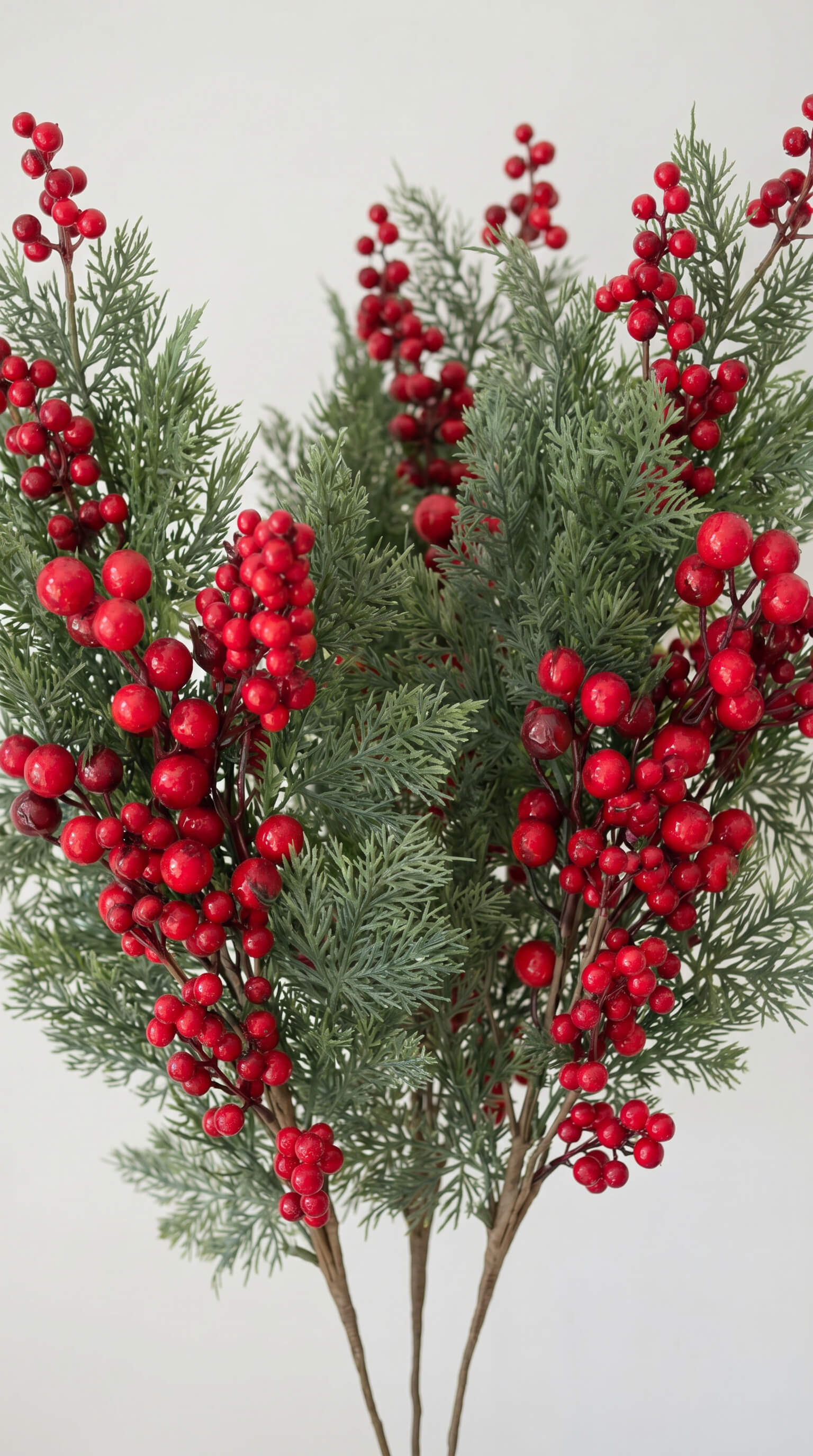 Red Berry Cypress Stem 32" - Bundle of 3