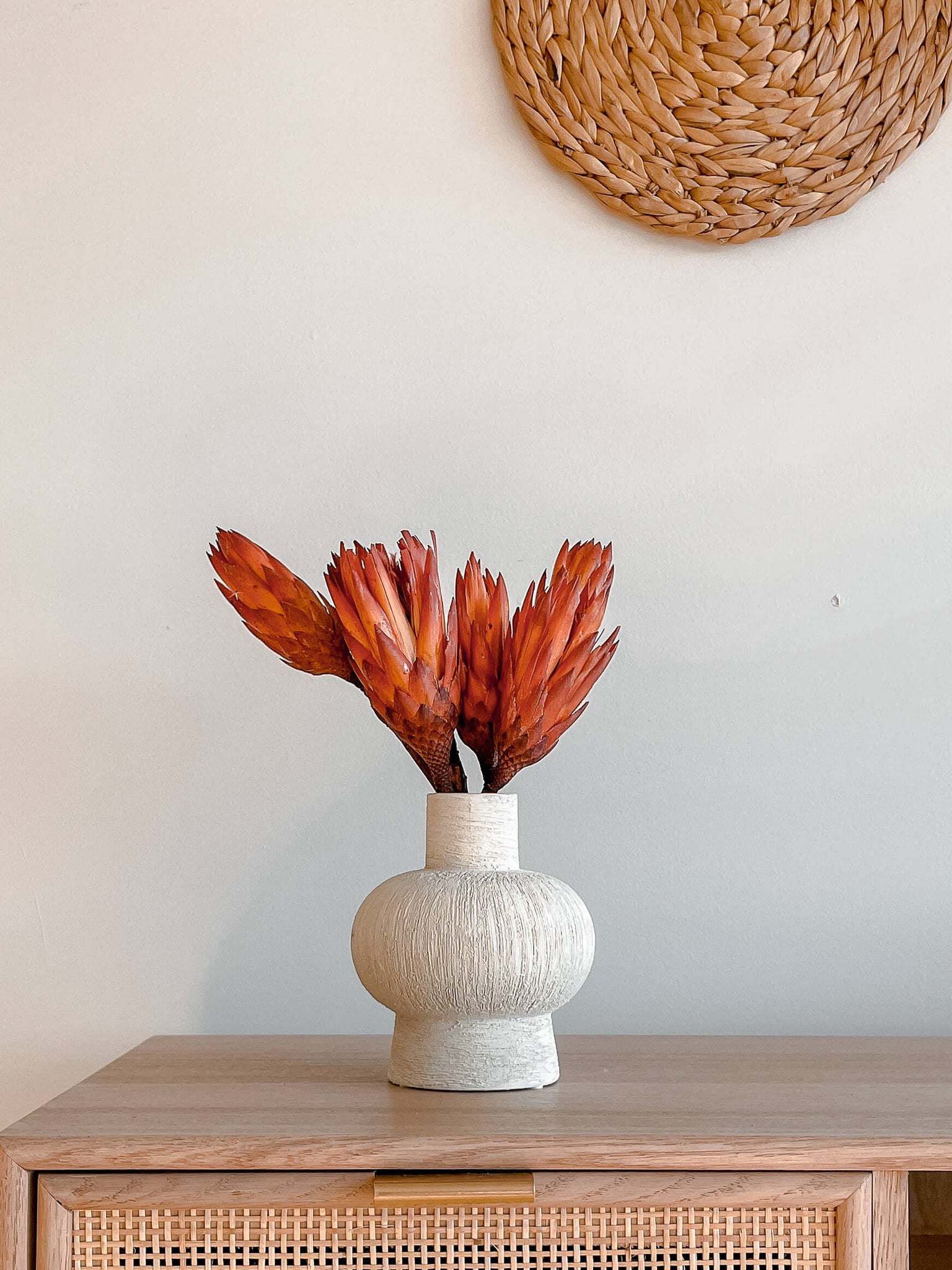 Hycroft Home Decor Protea Flowers Close up