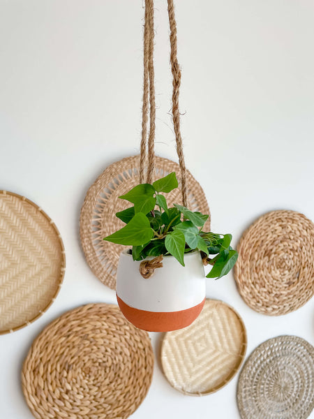 Milano Hanging Ceramic Vase Small with Plant Hycroft Home Decor