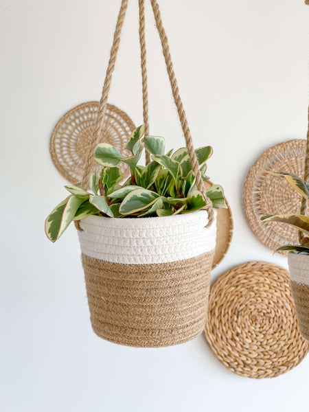 Sierra Cotton Rope Hanging Planter Large with Plants Hycroft Home Decor