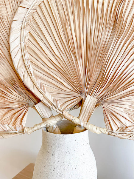 boho palm fan close up