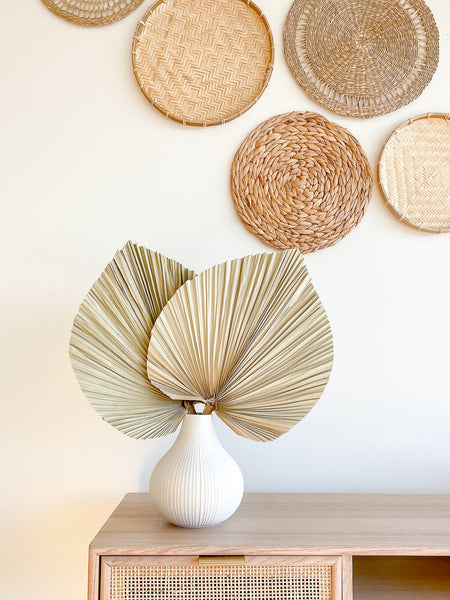 hycroft large palm leaves