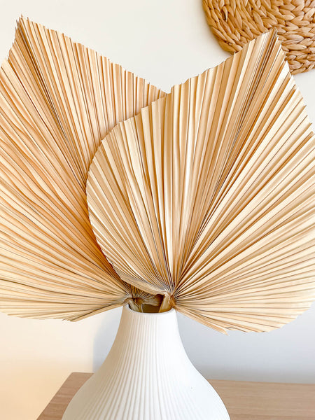 hycroft medium palm leaves close up
