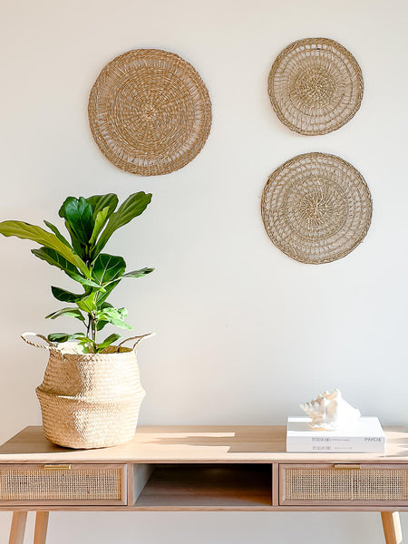 hycroft seagrass wall plate