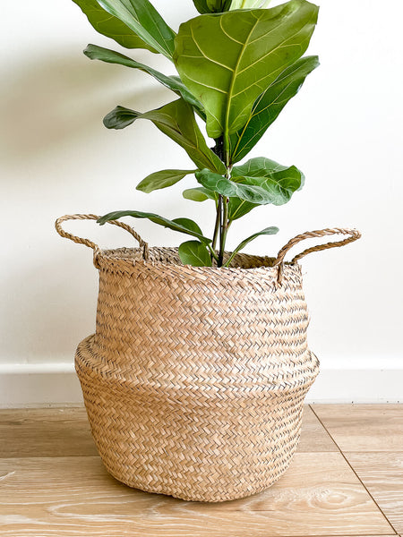 seagrass belly baskets large